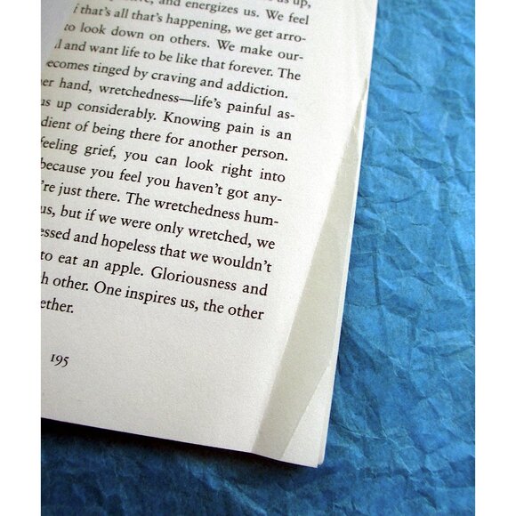 Book - Comfortable with Uncertainty: Teachings on Cultivating Fearlessness - Picture 10 of 15